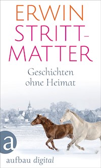 Geschichten ohne Heimat - Erwin Strittmatter - E-Book