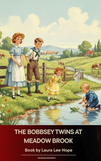 The Bobbsey Twins at Meadow Brook - Laura Lee Hope - E-Book