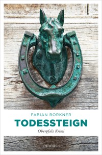 Todessteign - Fabian Borkner - E-Book