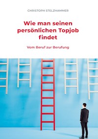 Wie man seinen persönlichen Topjob findet - Christoph Stelzhammer - E-Book