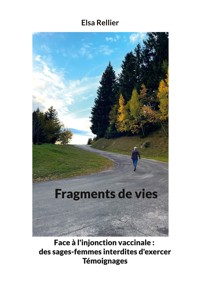 Fragments de vies - Elsa Rellier - E-Book