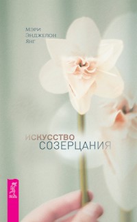 Искусство созерцания - Мэри Энджелон Янг - E-Book