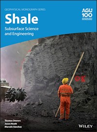 Shale - Thomas Dewers - E-Book