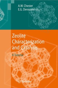 Zeolite Characterization and Catalysis -  - E-Book