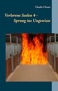 Verlorene Seelen 4 - Sprung ins Ungewisse - Claudia Choate - E-Book