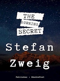 The Burning Secret - Zweig Stefan - E-Book