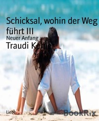 Schicksal, wohin der Weg führt III - Traudi Kehler - E-Book