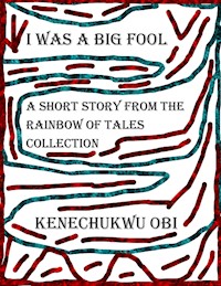 I Was A Big Fool - kenechukwu obi - E-Book