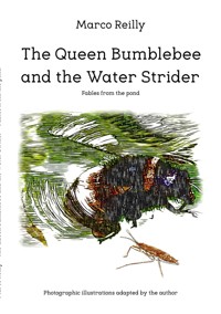 The Queen Bumblebee and the Water Strider - Marco Reilly - E-Book