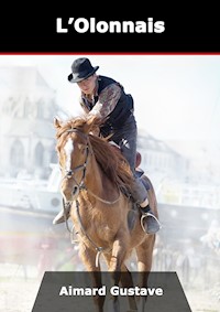 L'Olonnais - Aimard Gustave - E-Book