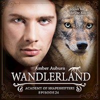 Wandlerland, Episode 24 - Fantasy-Serie - Amber Auburn - Hörbuch