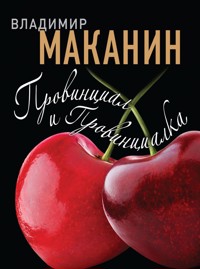 Провинциал и Провинциалка - Владимир Маканин - E-Book