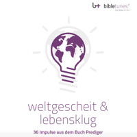 weltgescheit & lebensklug - Detlef Kühlein - Hörbuch