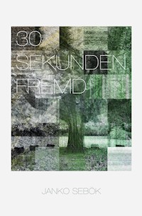 30 Sekunden fremd - Janko Sebök - E-Book