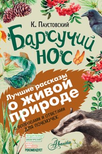 Барсучий нос - Константин Паустовский - E-Book
