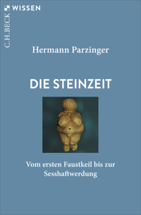 Die Steinzeit - Hermann Parzinger - E-Book