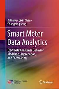 Smart Meter Data Analytics - Yi Wang - E-Book