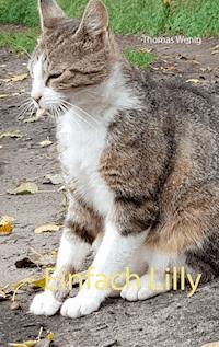 Einfach Lilly - Thomas Wenig - E-Book
