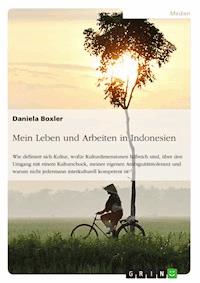 Mein Leben und Arbeiten in Indonesien - Daniela Boxler - E-Book