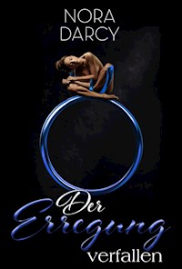 Der Erregung verfallen - Nora Darcy - E-Book