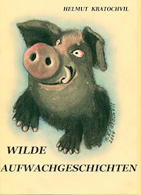 Wilde Aufwachgeschichten - Helmut Kratochvil - E-Book