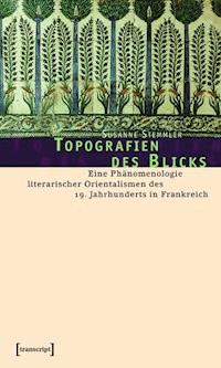 Topografien des Blicks - Susanne Stemmler - E-Book