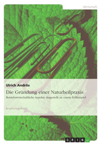 Die Gründung einer Naturheilpraxis - Ulrich Andrös - E-Book