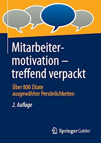 Mitarbeitermotivation - treffend verpackt - - E-Book