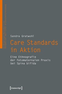 Care Standards in Aktion - Sandra Gratwohl - kostenlos E-Book