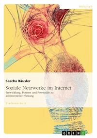Soziale Netzwerke im Internet - Sascha Häusler - E-Book