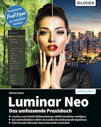 Luminar Neo - Michael Gradias - E-Book