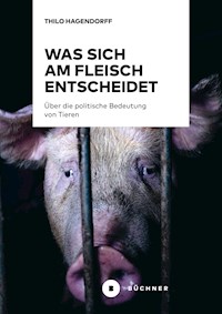 Was sich am Fleisch entscheidet - Thilo Hagendorff - E-Book