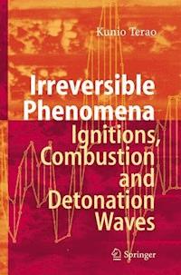Irreversible Phenomena - Kunio Terao - E-Book
