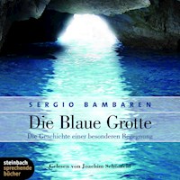 Die blaue Grotte - Die Geschichte einer besonderen Begegnung (Ungekürzt) - Sergio Bambaren - Hörbuch