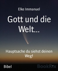 Gott und die Welt... - Elke Immanuel - E-Book
