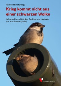 Krieg kommt nicht aus einer schwarzen Wolke - Raimund Ernst - E-Book