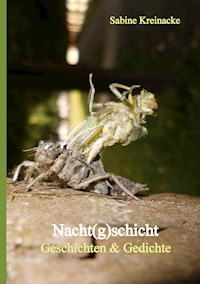 Nacht(g)schicht - Sabine Kreinacke - E-Book