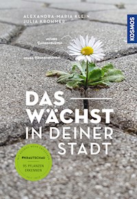Das wächst in deiner Stadt - Alexandra-Maria Klein - E-Book
