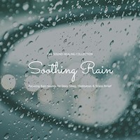 Soothing Rain: Relaxing Rain Sounds for Deep Sleep, Meditation & Stress Relief - Dr. Laurence Goldman - Hörbuch