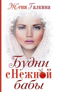Будни Снежной бабы - Женя Галкина - E-Book