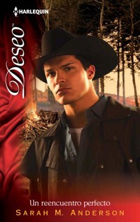 Un reencuentro perfecto - Sarah M. Anderson - E-Book