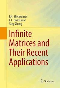 Infinite Matrices and Their Recent Applications - P.N. Shivakumar - E-Book