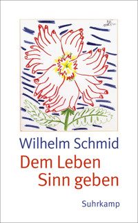 Dem Leben Sinn geben - Wilhelm Schmid - E-Book