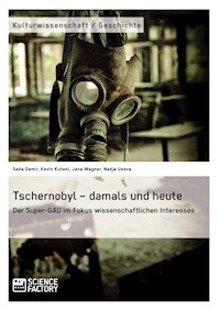 Tschernobyl – damals und heute - Seda Demir - E-Book