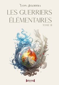 Les guerriers élémentaires - Tome 1 - Yann Jegodtka - E-Book