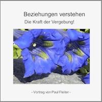 Beziehungen verstehen - Die Kraft der Vergebung - Paul Fleiter - Hörbuch