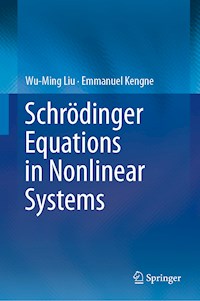 Schrödinger Equations in Nonlinear Systems - Wu-Ming Liu - E-Book