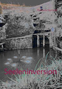 Seeleninversion - Alexander Barriball - E-Book