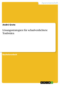 Lösungsstrategien für schadverdichtete Tonböden - André Grote - E-Book