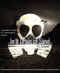 In a Grain of Sand - P.K. Gallagher - E-Book